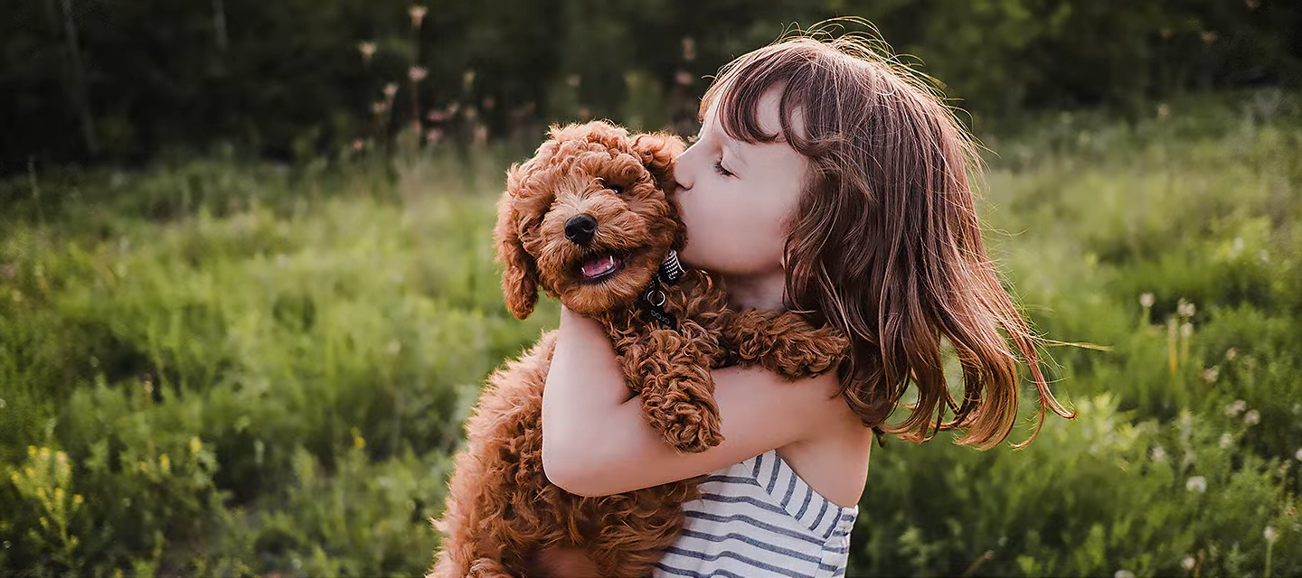 %D1%82%D0%B5%D0%BB%D0%B5%D0%B2%D0%B8%D0%